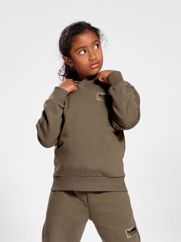 Hummel Dare hoodie falcon